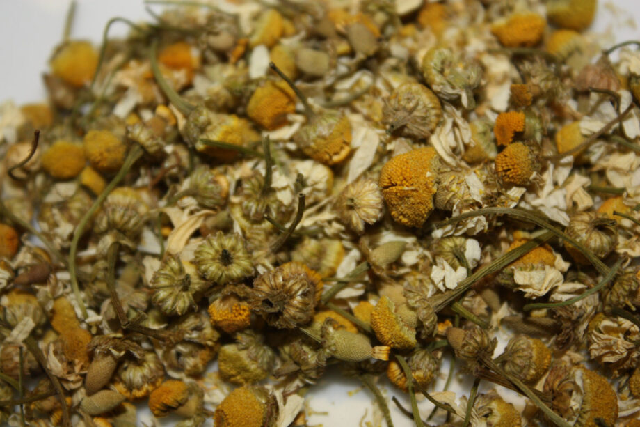 Golden Chamomile – The Path of Tea