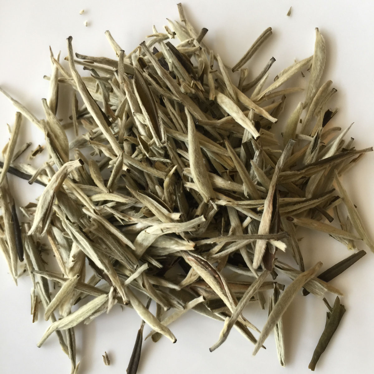 dry loose leaf organic silver needle white tea on white background