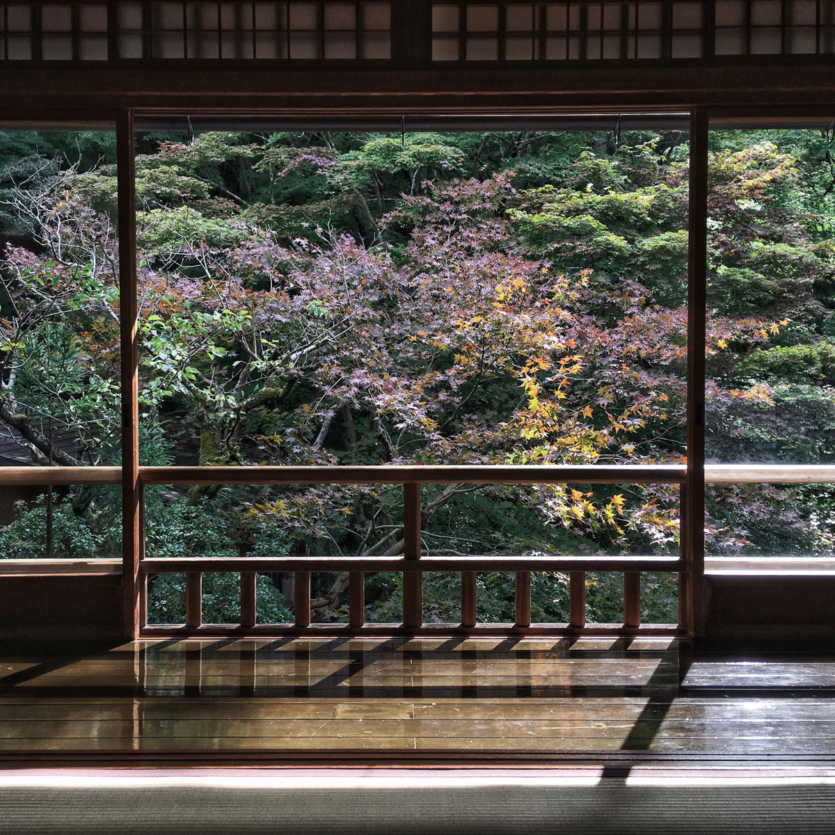 view from inside a tea house